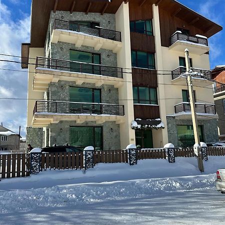 Hotel In バクリアニ エクステリア 写真